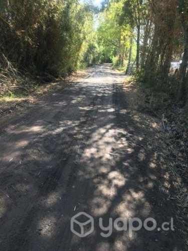 Parcelas en Asque 5.000m² a minutos de sanjose