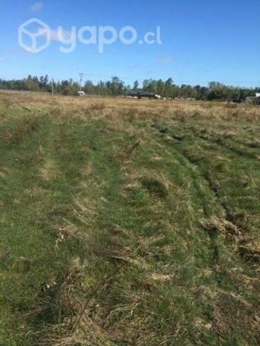 Parcelas en Asque 5.000m² a minutos de sanjose