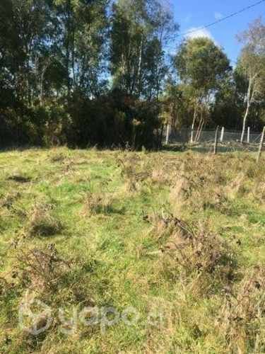 Parcelas en Asque 5.000m² a minutos de sanjose