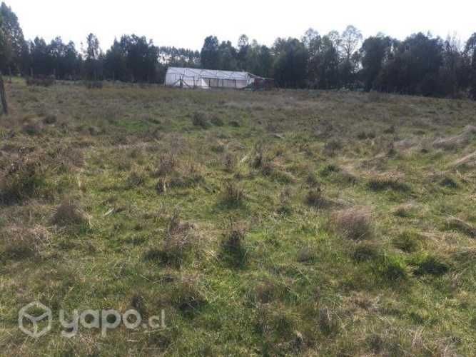 Parcelas en Asque 5.000m² a minutos de sanjose