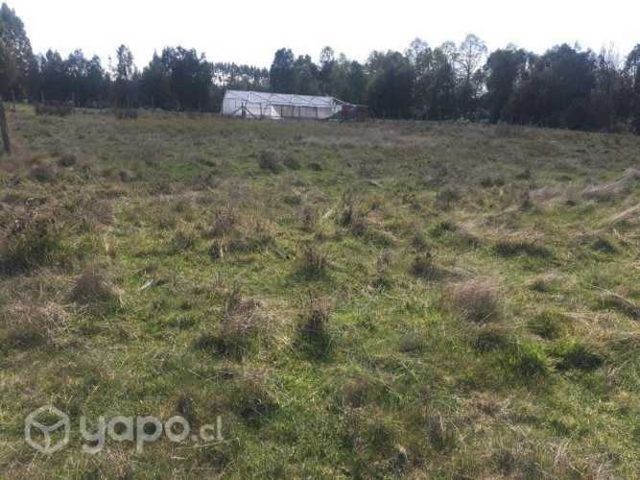 Parcelas en Asque 5.000m² a minutos de sanjose