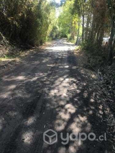 Parcelas en Asque 5.000m² a minutos de sanjose