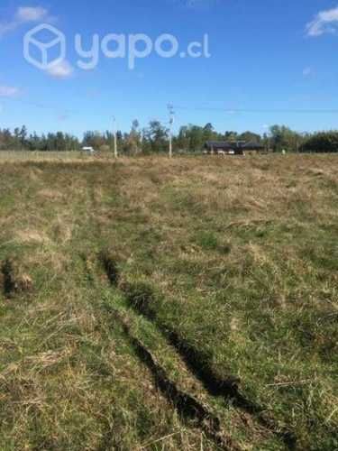 Parcelas en Asque 5.000m² a minutos de sanjose