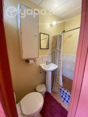 Arriendo cabaña por dia