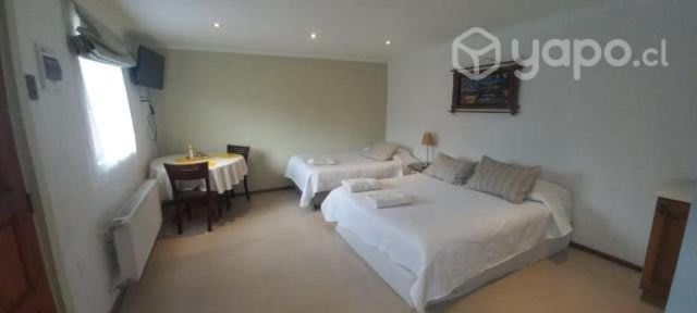 Por días Punta Arenas