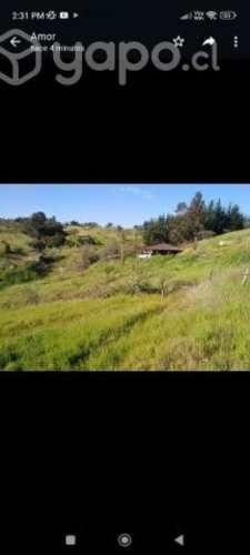 Parcela en Portezuelo dos hectáreas