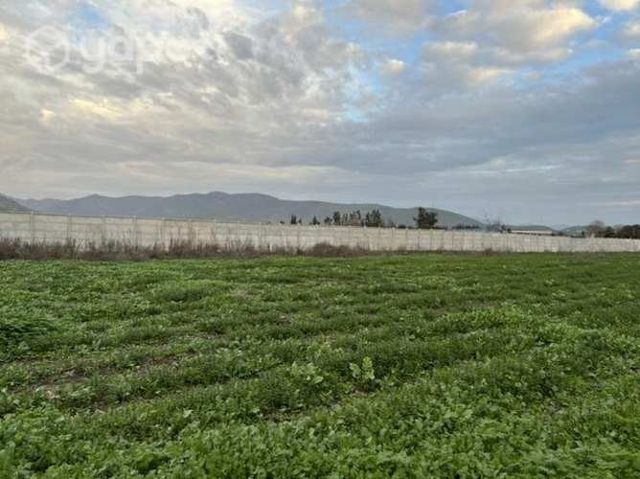 Venta Parcela San Pedro