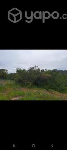 Vendo parcela en Litueche ralquilco