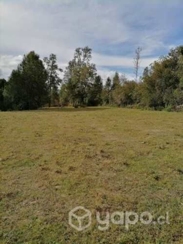 Venta parcelas chancoyan alto valdivia