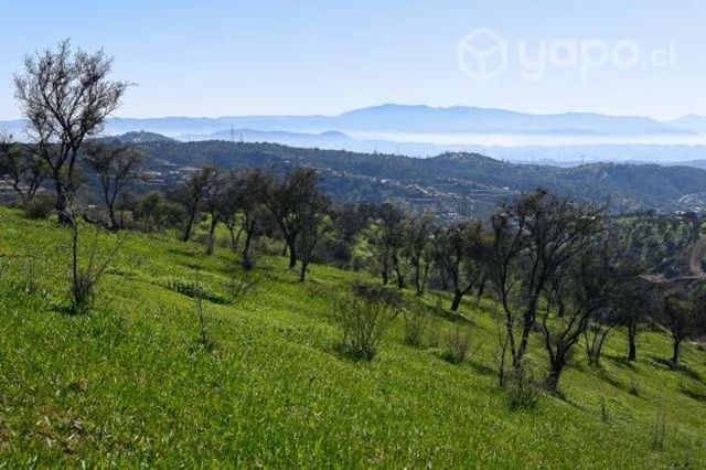 Hermosa Parcela en Lomas de Peña Blanca 5000m2