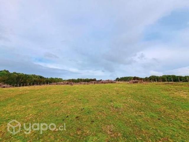 Ventas de parcelas en isla Butachauques