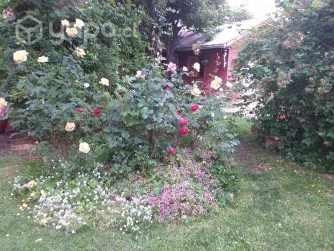 Habitacion solamente dama joven