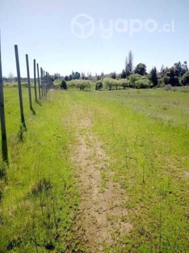 Venta de terreno 9000 metros cuadrados