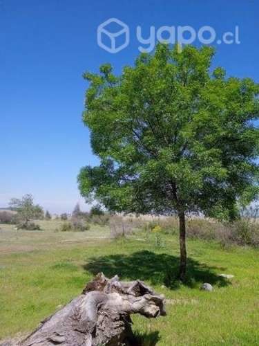 Parcela frente al autodromo codegua