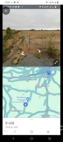 1 hectárea de terreno Chileno