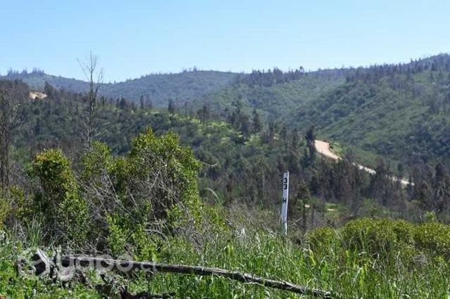 Hermosas Parcelas de 5000 con Rol Unico