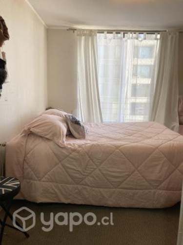 Comparto Dpto amoblado