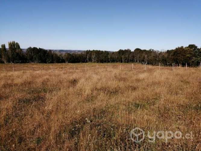 Parcela Castro - Chiloé