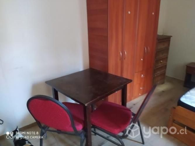 Arriendo depto mensual amoblado central