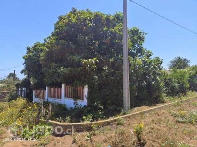 Propiedad en Playa Loncura, amplio terreno árboles
