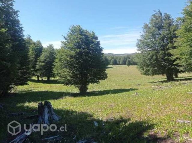 Terreno de 57.28ha en Lago Castor
