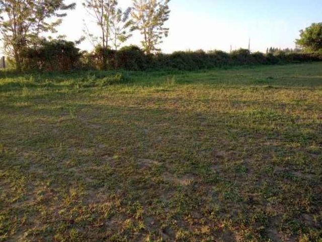 1/2 hectárea Parral camino a Catillo km 12