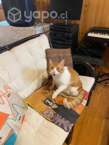 Habitación estudiante San Joaquín