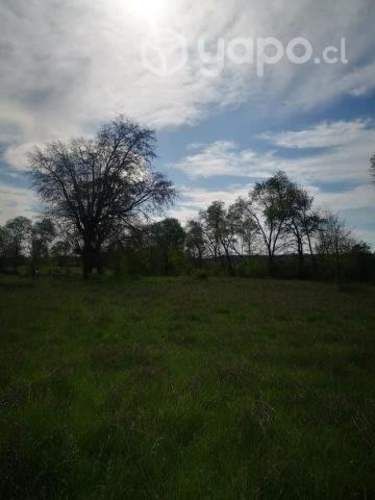 Se vende parcela en yungay