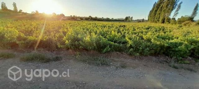 Terreno en Quillón - 5000 m2