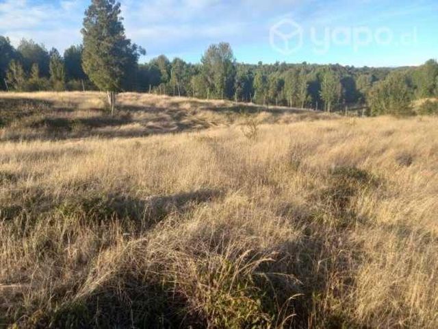 Se venden parcelas en Quellón Chiloé