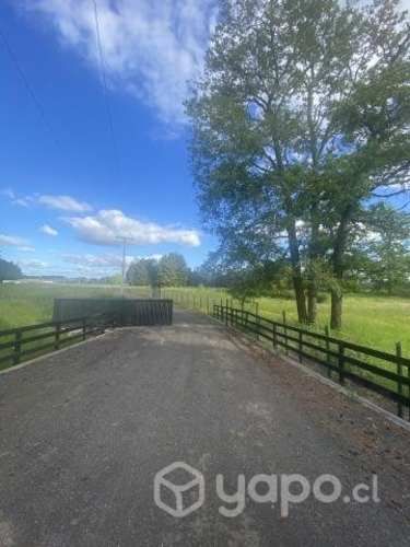 Parcelas de 5.000 m2 en condominio