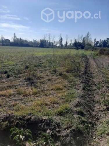 Terreno en la trilla