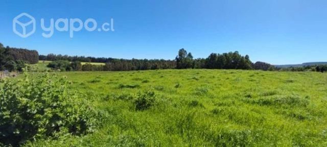 Parcela de 10.300 m2 en Sector Centinela, La Unión