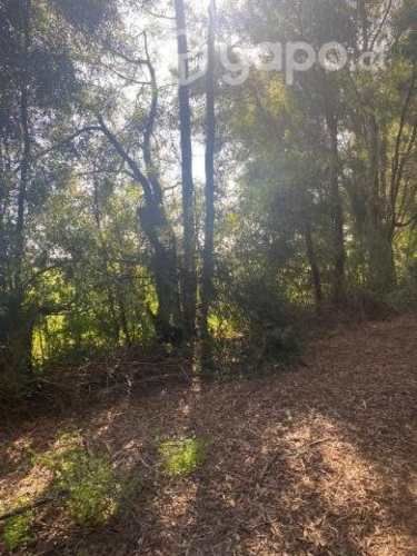 Venta de Terreno Agricola