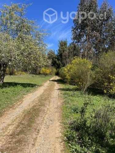 Parcela-Sector Puente 7 Florida