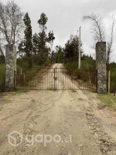 Parcela-Sector Puente 7 Florida