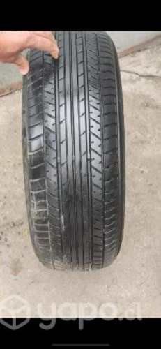 Neumáticos 205/55 r16
