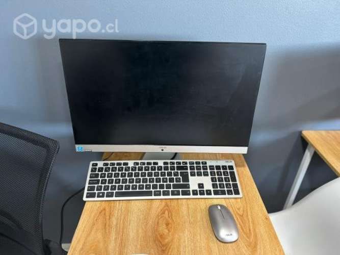 Computador Asus All in One , Pentium Gold