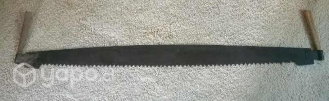 Corvina serrucho antigua