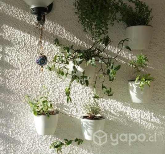 Pack 3 maceteros autorregantes para pared