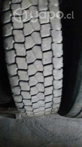 Neumáticos para camion