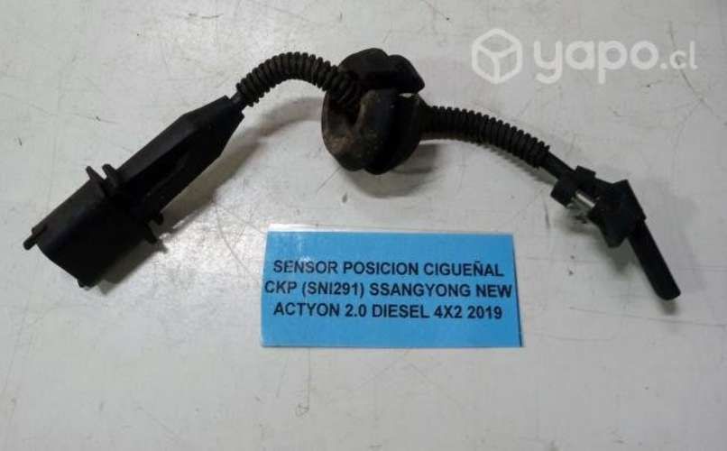 Sensor Posicion Cigüeñal CKP (SNI291) Ssangyong Ne