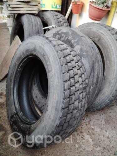 Neumaticos aro 19.5