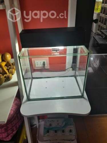 Acuario de 30 ancho alto 26 y profundidad 20