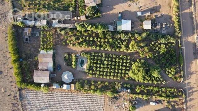 Parcela con arboles en Tambillos Coquimbo 5022 m2