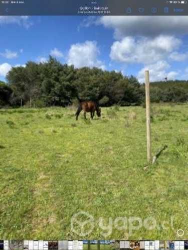 Parcela Quillón