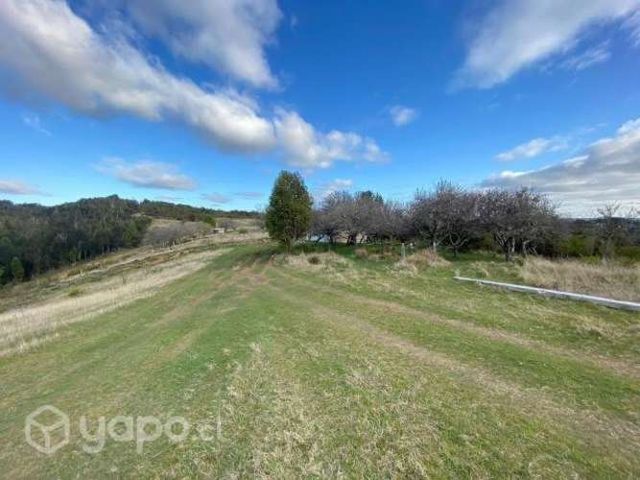 Se vende hermoso campo de 8,5 ha con esteros de ri