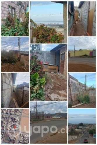 Sitio en el sector de las compañias