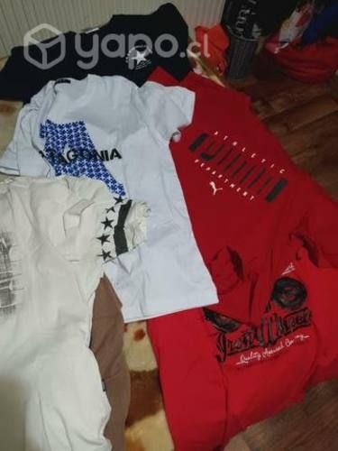 Lote poleras