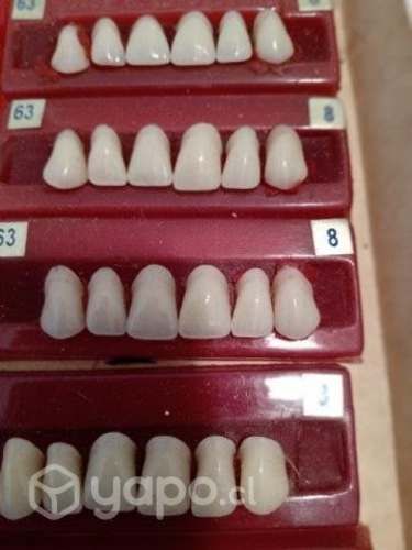 Dientes acrilicos